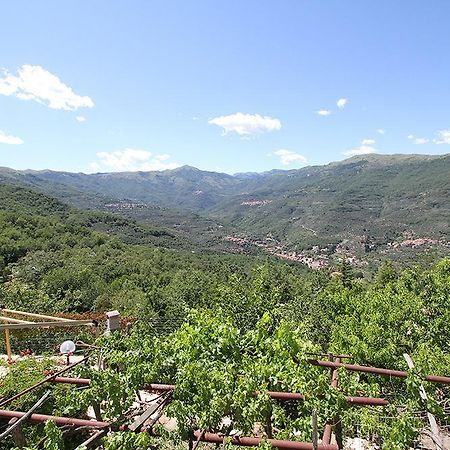 Agriturismo Nonni Devia Lucinasco Buitenkant foto